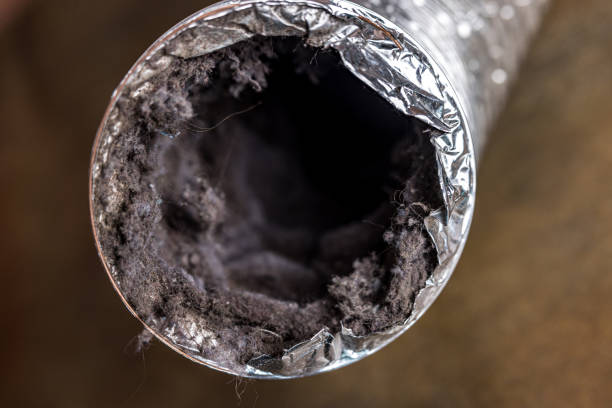 Best Affordable Duct Cleaning Services  in Big Bear Lake, CA