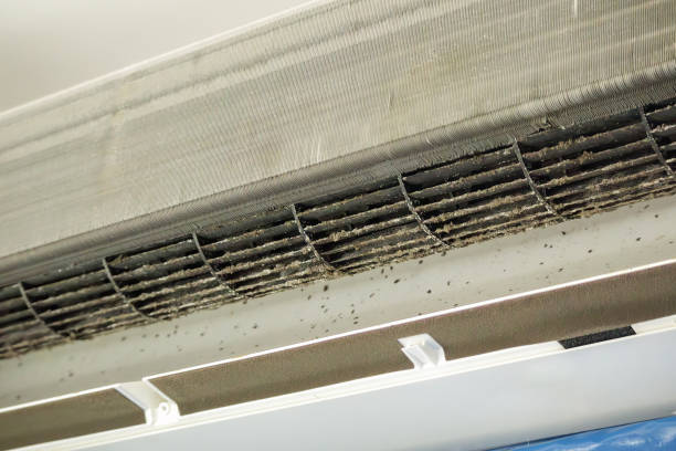 Best Affordable Duct Cleaning Services  in Big Bear Lake, CA